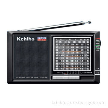 FM/MW/SW1-10 12-Band Radio Powered by 2 x AA Batteries